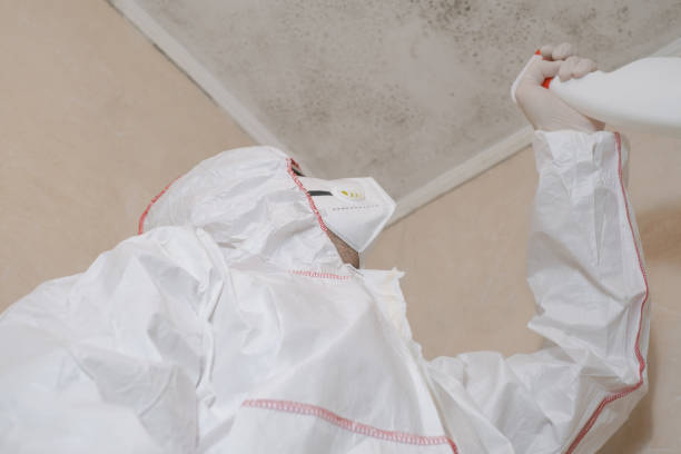 Best Toxic Mold Removal  in Cypress Lake, FL